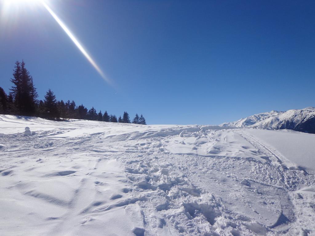 Hanserhof زيل أم زيلر المظهر الخارجي الصورة