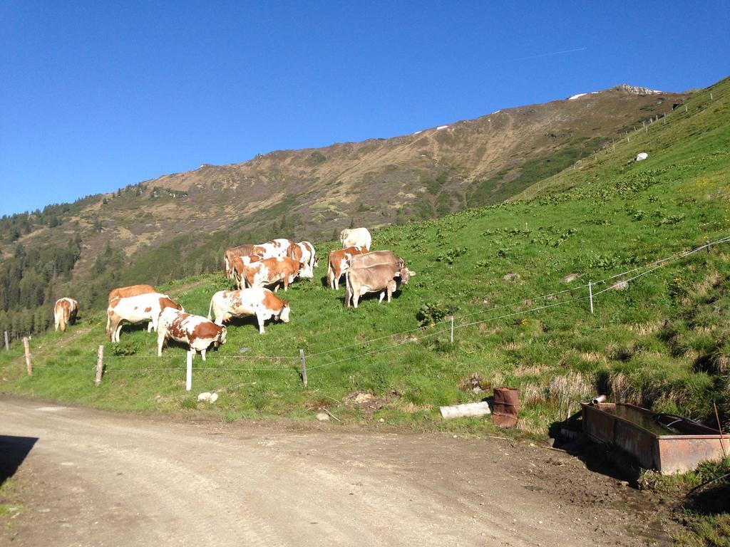 Hanserhof زيل أم زيلر المظهر الخارجي الصورة