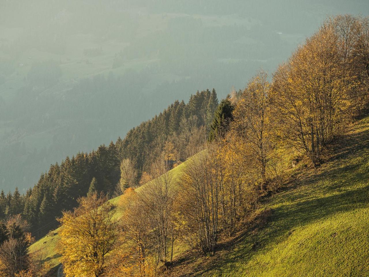 Hanserhof زيل أم زيلر المظهر الخارجي الصورة