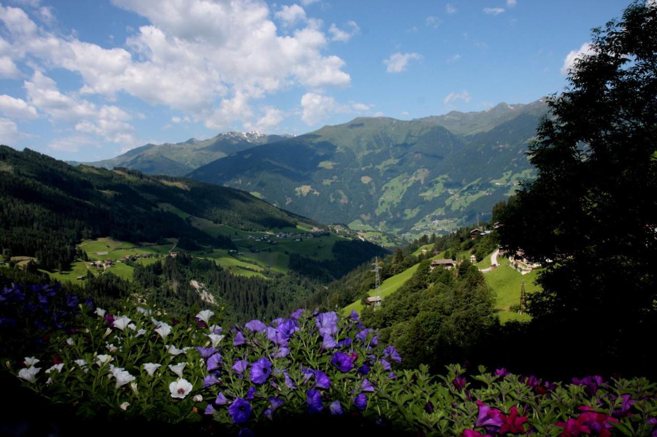 Hanserhof زيل أم زيلر المظهر الخارجي الصورة